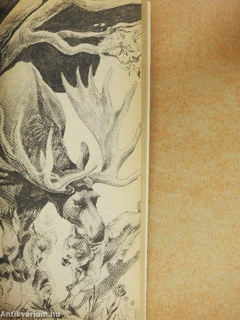 A vadon szava/A mexikói