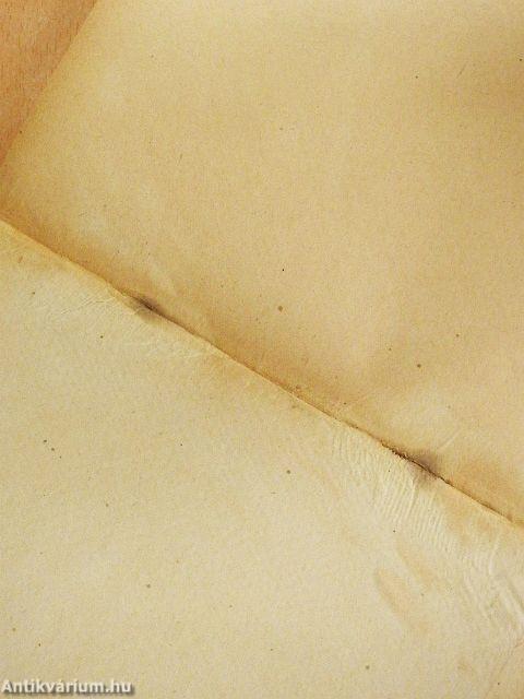 A magyar írók első kongresszusa