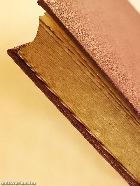 Levelek "A Tőké-"ről