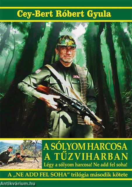 A sólyom harcosa a tűzviharban