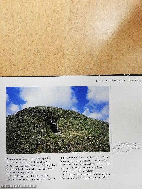 Landscapes and Desire