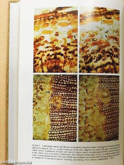 Plant Growth Regulating Chemicals II.