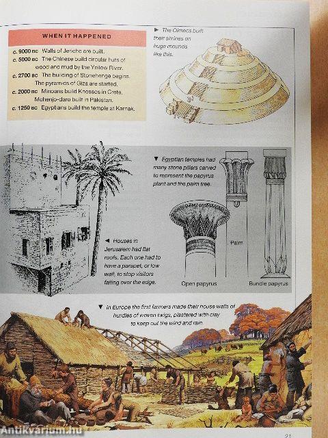 The Kingfisher Illustrated History of the World