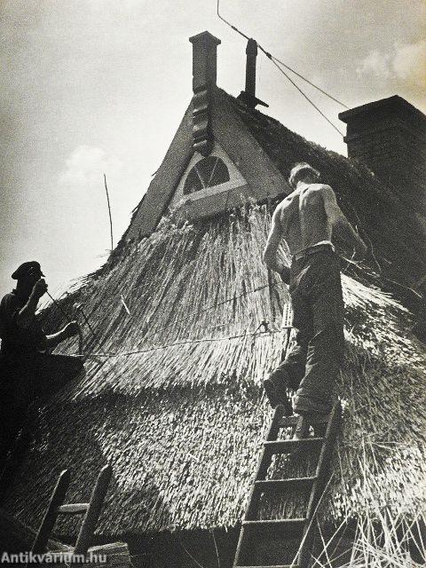 Elbefahrt Durch Deutschland