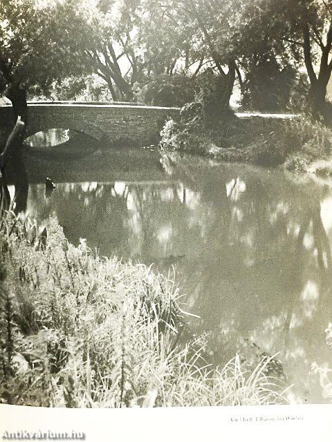 Elbefahrt Durch Deutschland