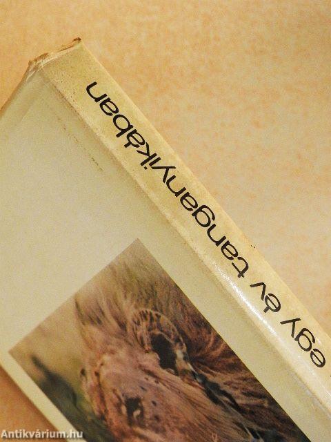 Egy év Tanganyikában