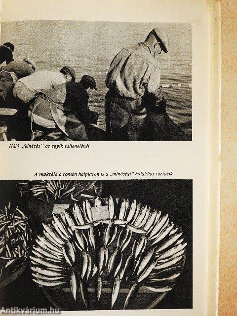 Hálóval a tengeren