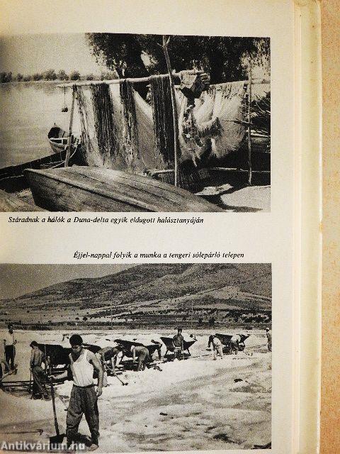 Hálóval a tengeren