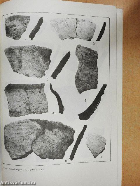 A Tisza-Vidék kulturális és kronológiai kapcsolatai a Balkánnal és az égeikummal a neolitikum, rézkor időszakában