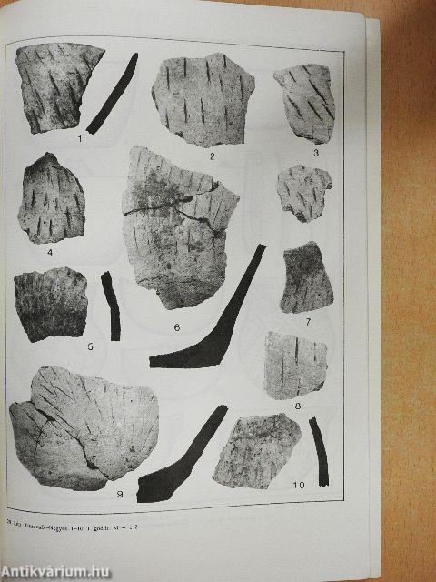 A Tisza-Vidék kulturális és kronológiai kapcsolatai a Balkánnal és az égeikummal a neolitikum, rézkor időszakában