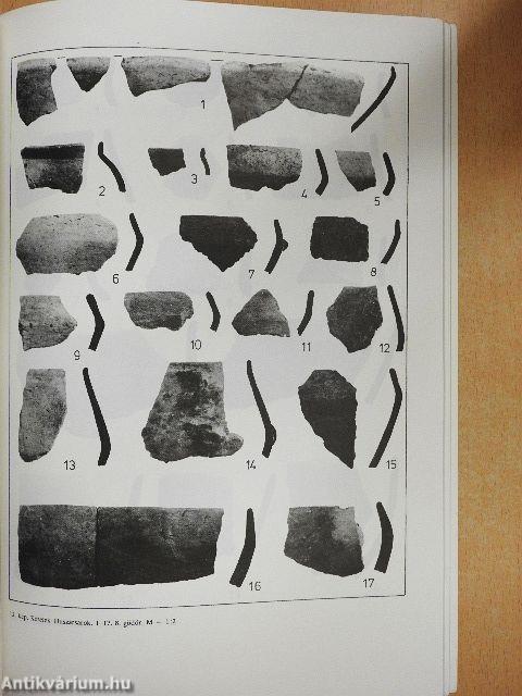 A Tisza-Vidék kulturális és kronológiai kapcsolatai a Balkánnal és az égeikummal a neolitikum, rézkor időszakában