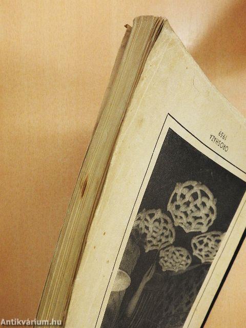 A Szántó Kovács Múzeum Évkönyve 1959