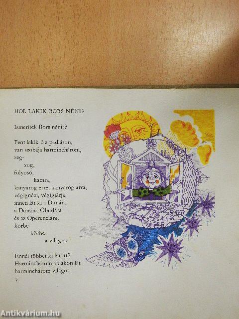 Bors néni könyve