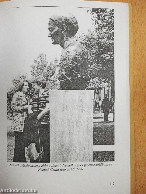 Csomorkánytól Csomorkányig