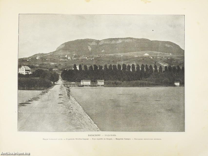 Magyarország képes albuma (rossz állapotú)