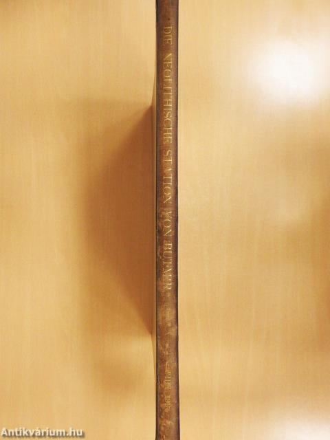 Die Neolithische Station von Butmir bei Sarajevo in Bosnien (rossz állapotú)