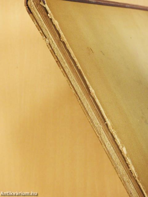 Die Neolithische Station von Butmir bei Sarajevo in Bosnien (rossz állapotú)