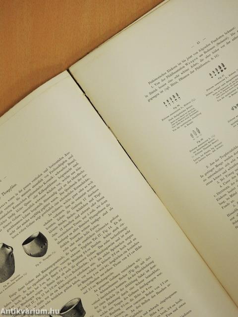 Die Neolithische Station von Butmir bei Sarajevo in Bosnien (rossz állapotú)