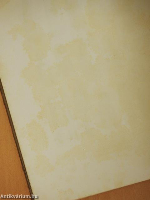 Die Neolithische Station von Butmir bei Sarajevo in Bosnien (rossz állapotú)