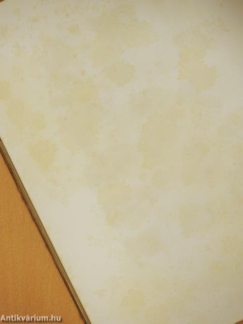 Die Neolithische Station von Butmir bei Sarajevo in Bosnien (rossz állapotú)