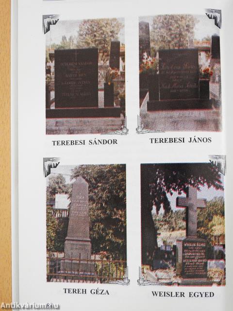 Tanári életutak (dedikált példány)