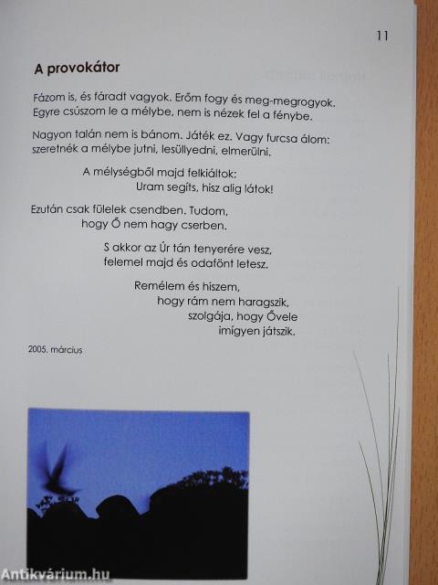 Kövek, kavicsok, homokszemek (dedikált példány)