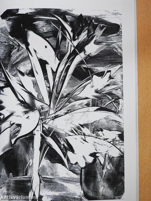 Ahogy a madár énekel... (dedikált példány)