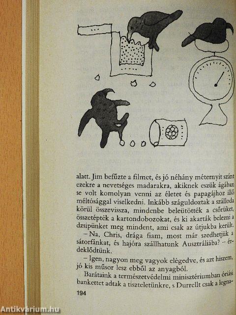 Állatok az ágyamban