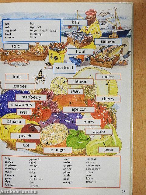 Kezdők angol nyelvkönyve