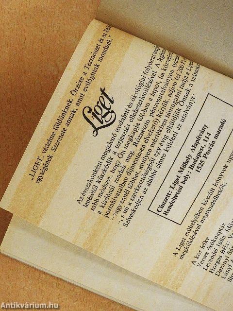 Magyar kiejtési szótár