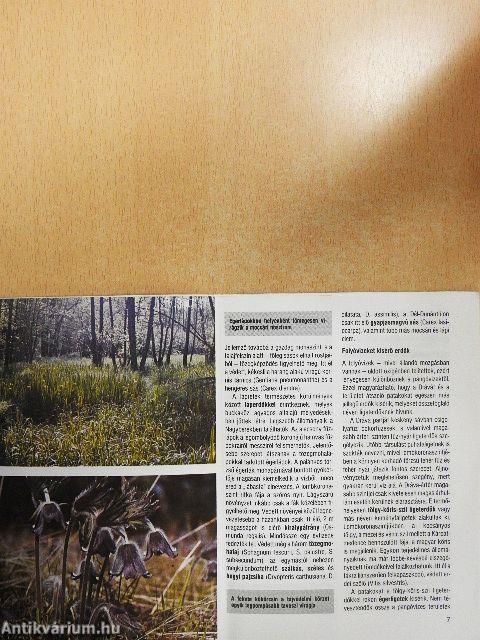 Boróka, nyír, tündérrózsa