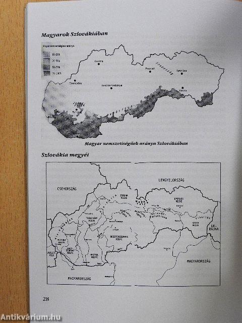 Lármafa-találkozó 11.