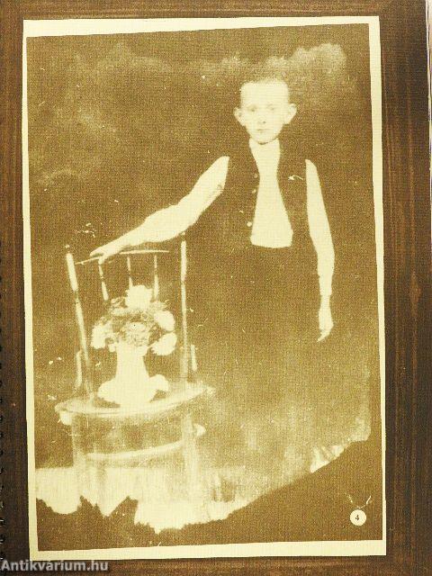 A volt Gödöllői Járás képeskönyve