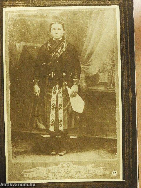 A volt Gödöllői Járás képeskönyve