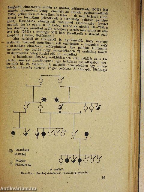Az ösztönök világa