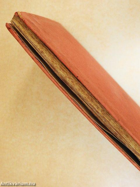 János minorita Nagy Lajosról szóló krónikatöredéke