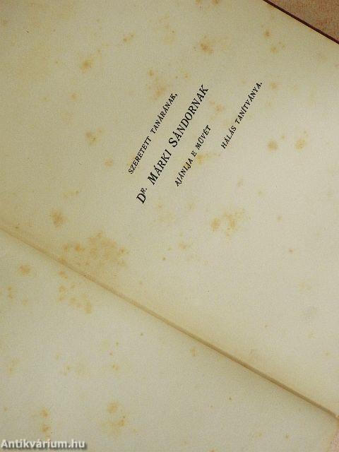 János minorita Nagy Lajosról szóló krónikatöredéke