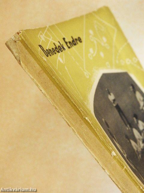 A labdarúgás edzésjátékai