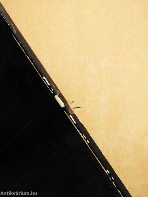 A fővárosi törvény és módosításai