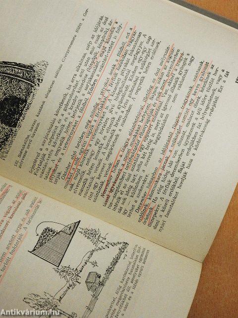 Életforma és anyagi műveltség