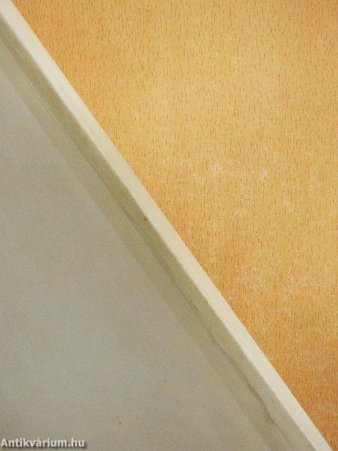 A hódmezővásárhelyi Bethlen Gábor Gimnázium évkönyve 1993