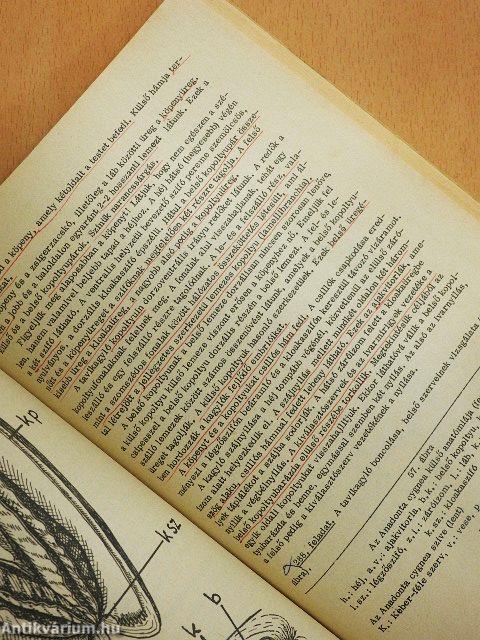 Állatszervezettani és állatélettani gyakorlatok I.