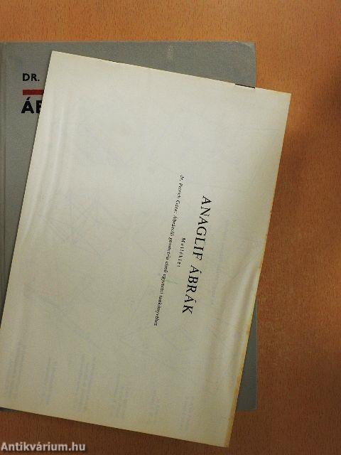 Ábrázoló geometria