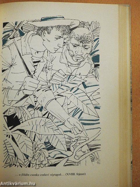 A tizenöt éves kapitány