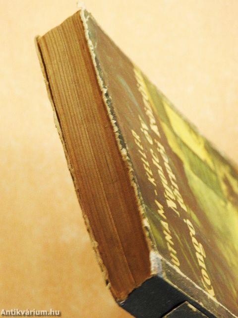 Nyolc év Kongó törpéi között