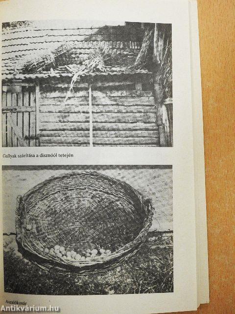 Fejezetek Hencida község népéletéből