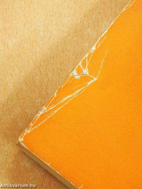 A film gyakorlata és elmélete