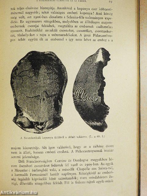 Utazás a természetben