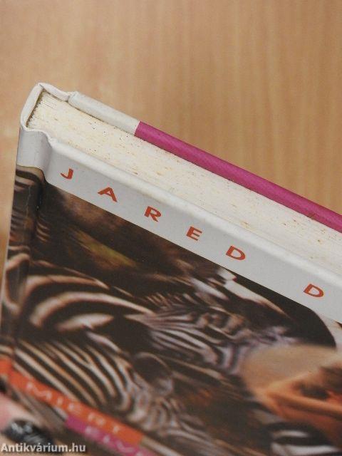 Miért élvezet a szex?