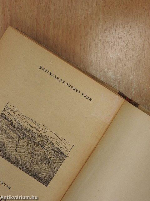 Grant kapitány gyermekei